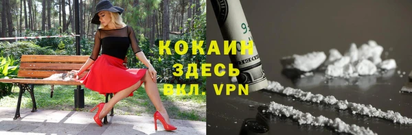 трава Аркадак