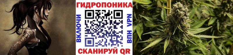 Шишки марихуана марихуана Купить где Симферополь